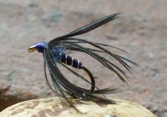 purple_soft_hackle 0091.JPG