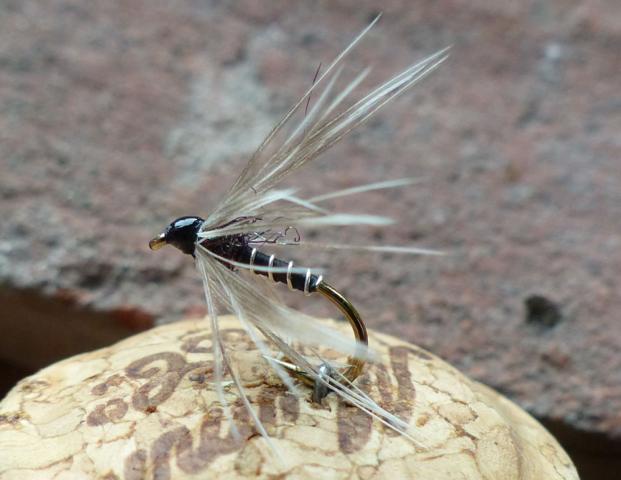 black_silver_hackle 0071.JPG