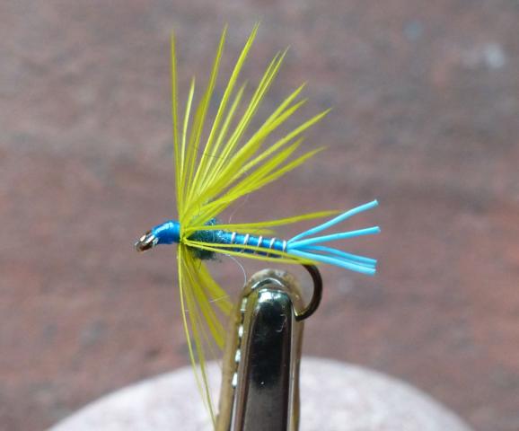 Soft_Hackles 0081.JPG