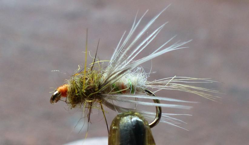 Soft_Hackles 0241.JPG