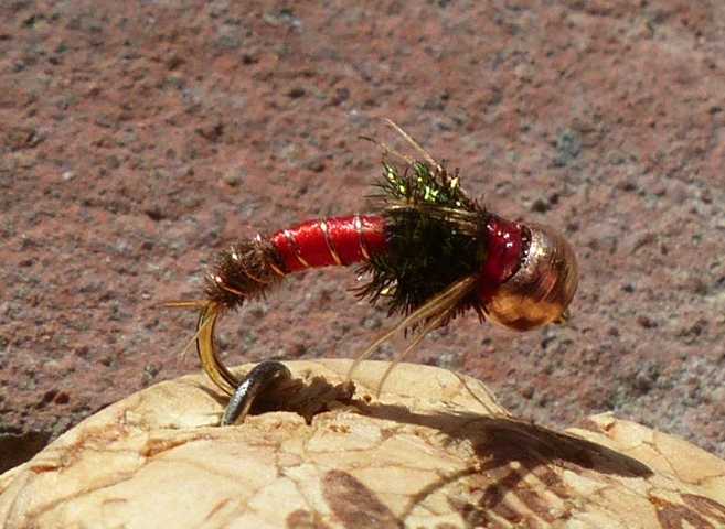 Royal Wulff 0041.JPG