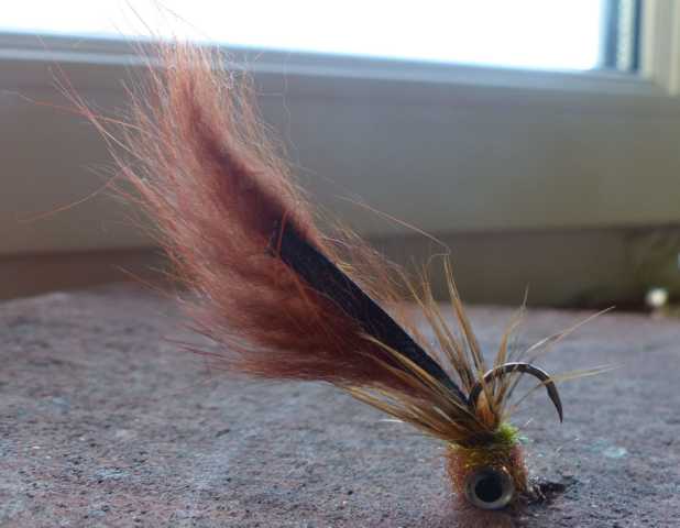 Karpfenfliegen 0091.JPG