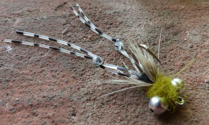 Karpfenfliegen 2 0081.JPG