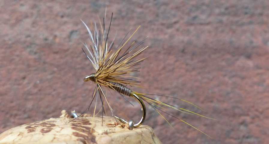 Squirrel Experiment 0051.JPG