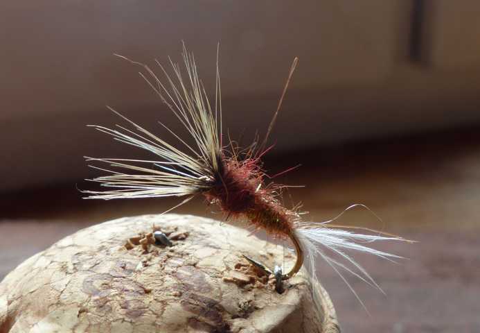 Devaux Wet Fly March Brown 0031.JPG