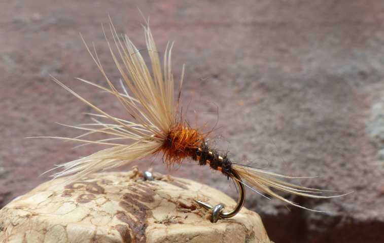 Devaux Wet Fly March Brown 0081.JPG