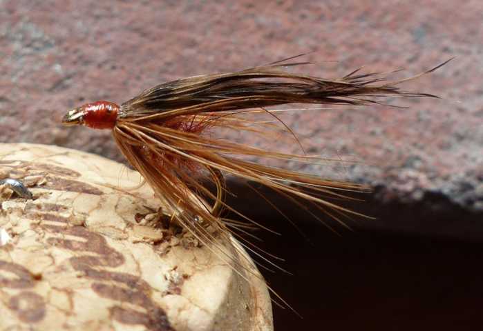 Wet Fly March Brown 0162.JPG