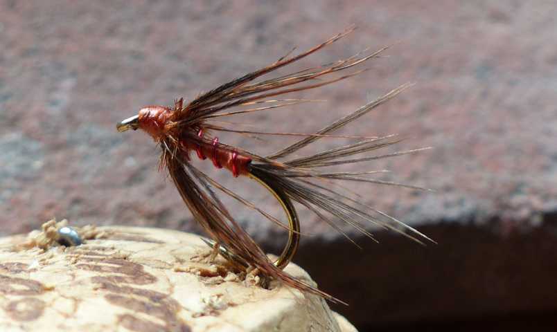 Wet Fly March Brown 0201.JPG