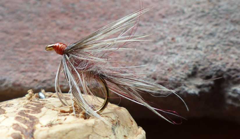 Wet Fly March Brown 0241.JPG