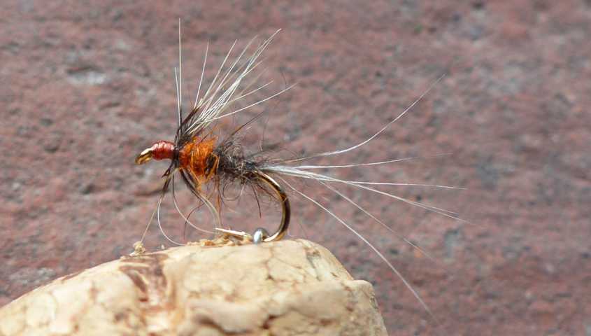 Wet Fly March Brown 0251.JPG