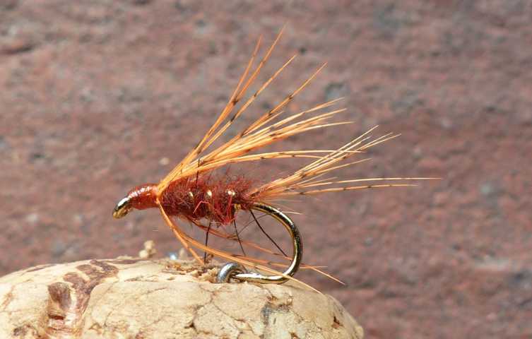 Wet Fly March Brown 0291.JPG