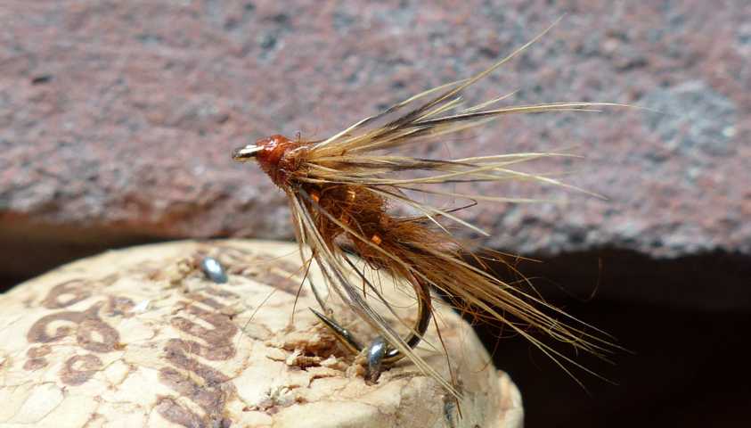 Wet Fly March Brown 0351.JPG