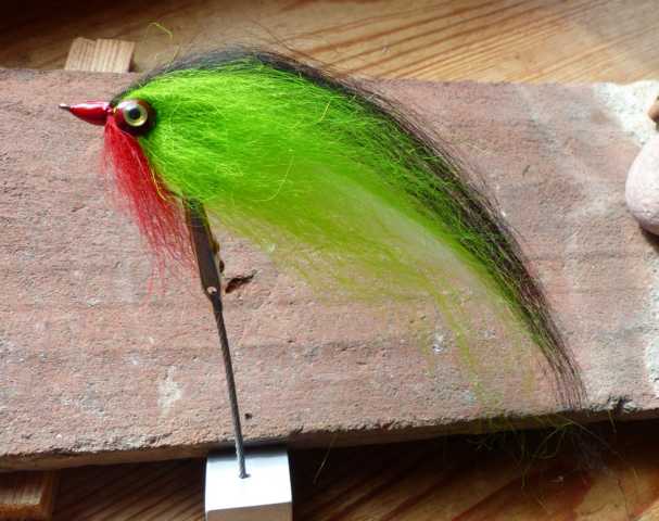 Icelandic Sheep Hair Hechtstreamer 0091.JPG