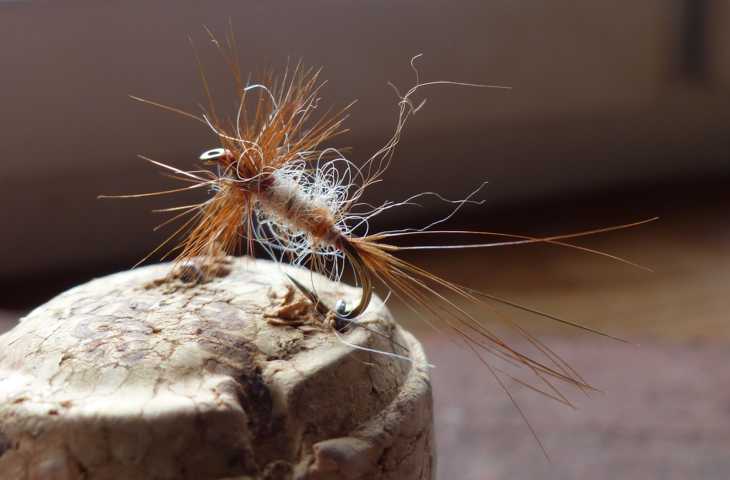 March Brown 0051.JPG