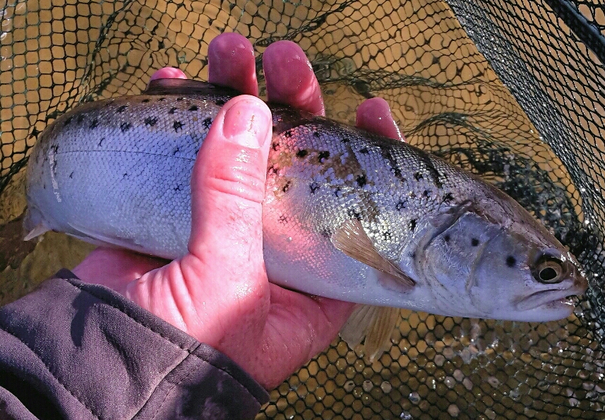 2015-04-16 13.59.35-1-1.jpg