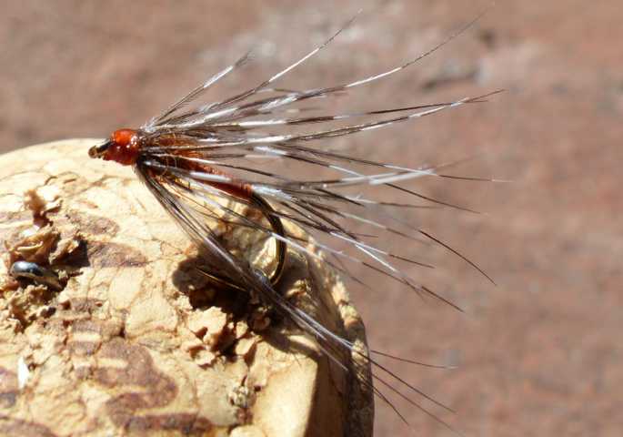 Wet_fly 0101.JPG