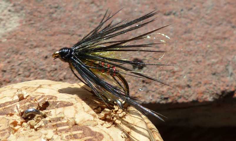 Wet_fly 0211.JPG