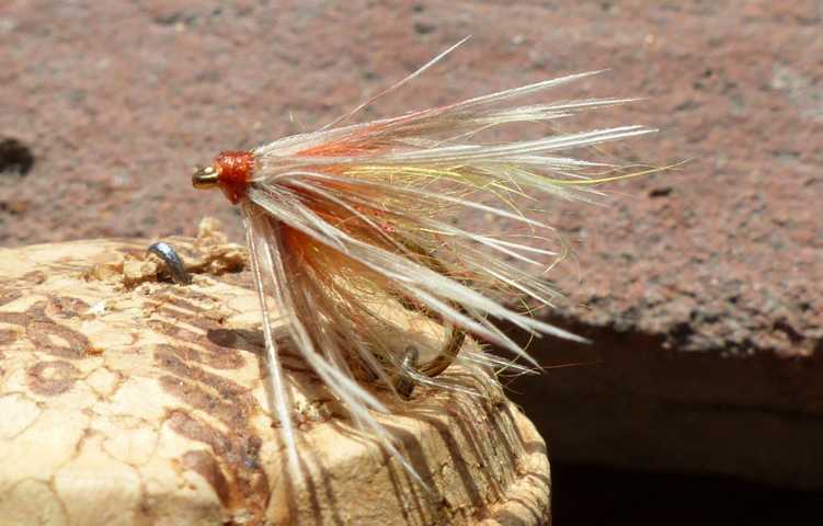 Wet_fly 0241.JPG