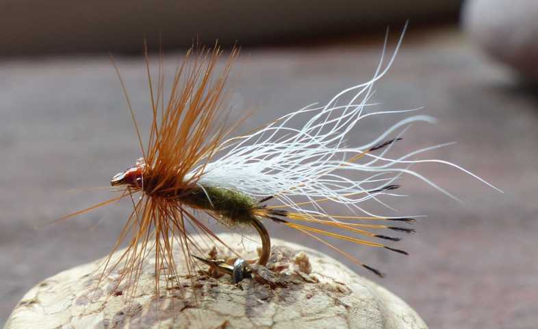 Dry Fly 0321.JPG