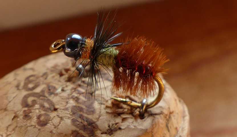 Cased_Caddis 0141.JPG