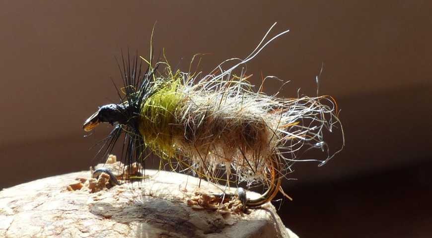 Cased_Caddis 0161.JPG