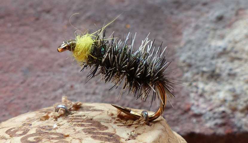 Cased_Caddis 0271.JPG