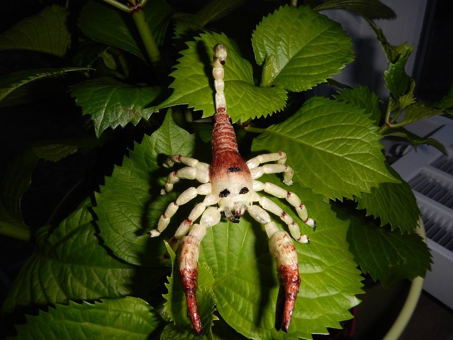 Kurs&EWF 2015 047.JPG