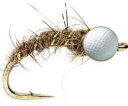golfkopfnymphe.jpg