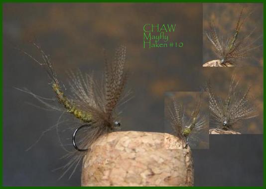 Mayfly333.jpg