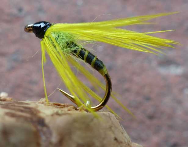 Wet-Fly 0011.JPG