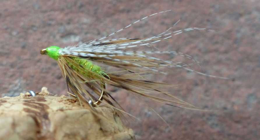 Wet-Fly 0061.JPG