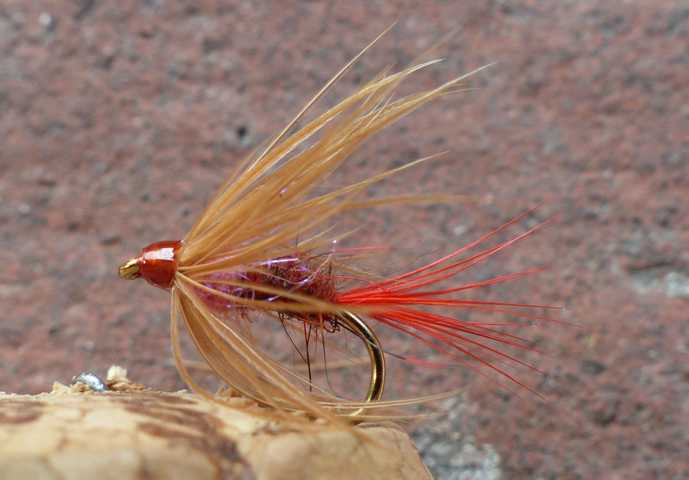 Wet-Fly 0121.JPG
