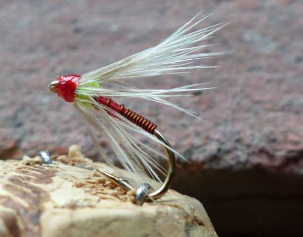 Wet-Fly 0221.JPG