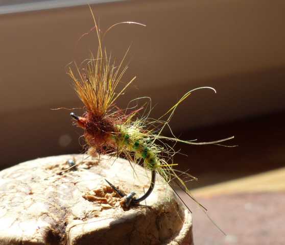 Kreative Emerger 0091.JPG