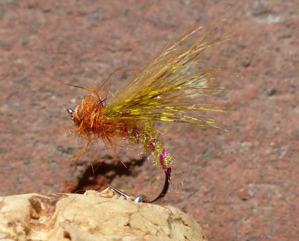 Kreative Emerger 0161.JPG