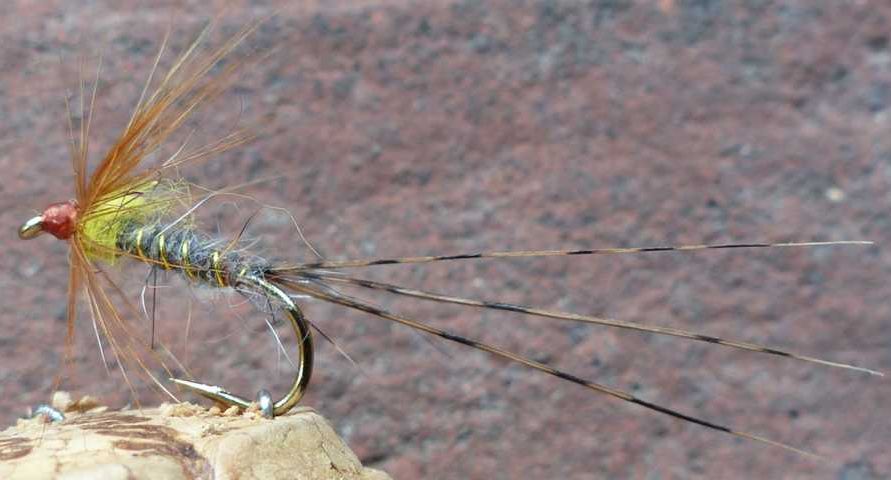 May Fly Nymph 0102.jpg