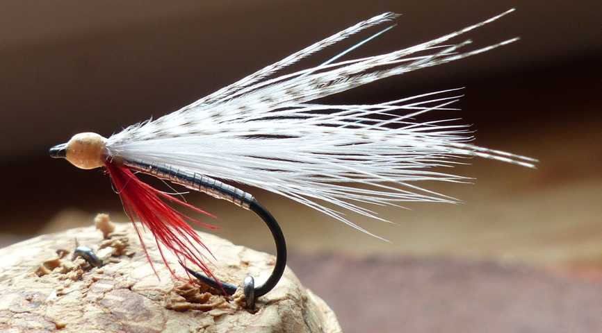 Brutfisch-Streamer 0022.JPG