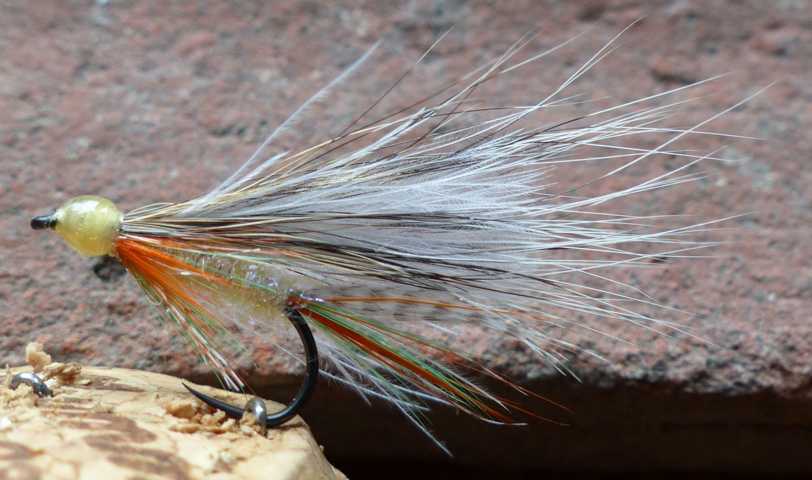 Brutfisch-Streamer 0061.JPG