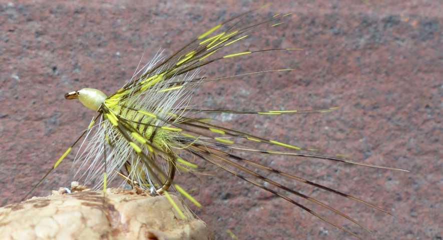 Hackle May Fly 0021.JPG