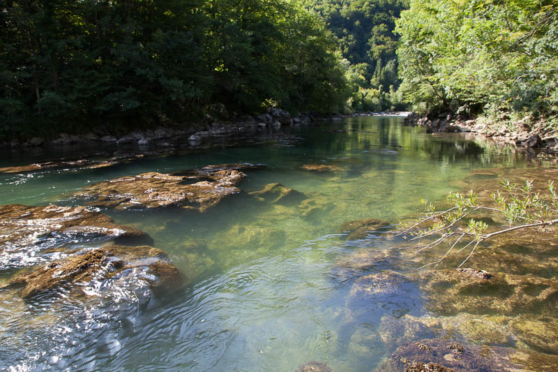 20090725-1572.jpg