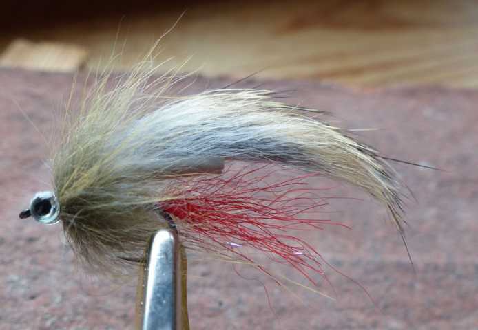 Bunny Baitfish 0031.JPG