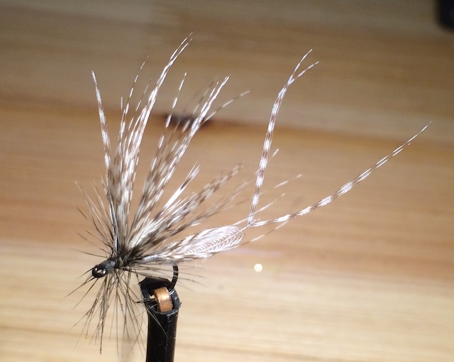 Two Feather Fly.jpg
