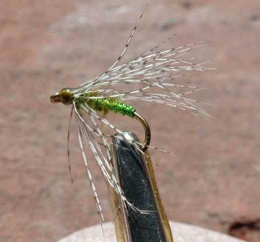 Green Wire Squirrel Wet 0011.JPG