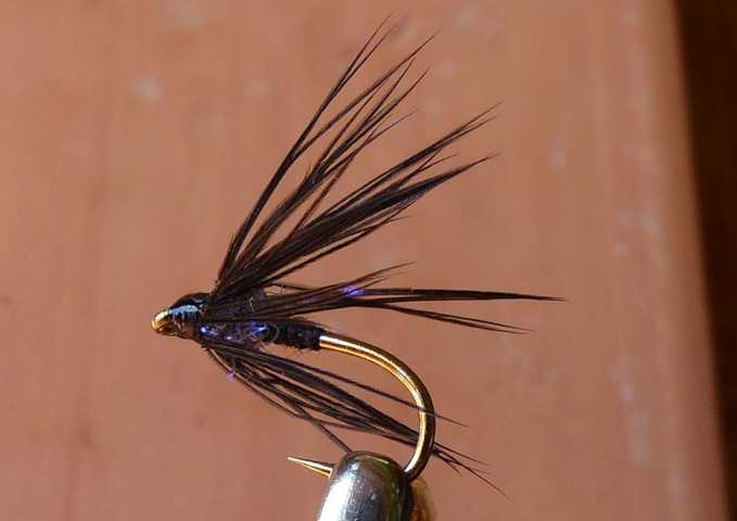 Black-Magic-Spider 0031.JPG