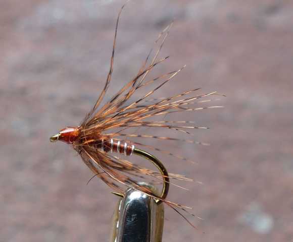 brown_light 0011.JPG