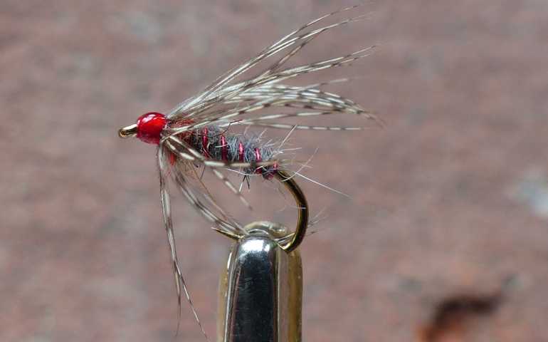 Partridge-Grey Wet 0011.JPG