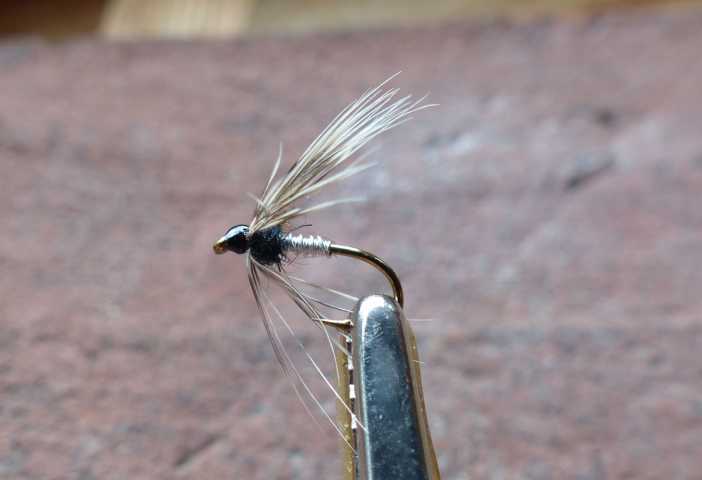 Silver Wire Wet 0021.JPG