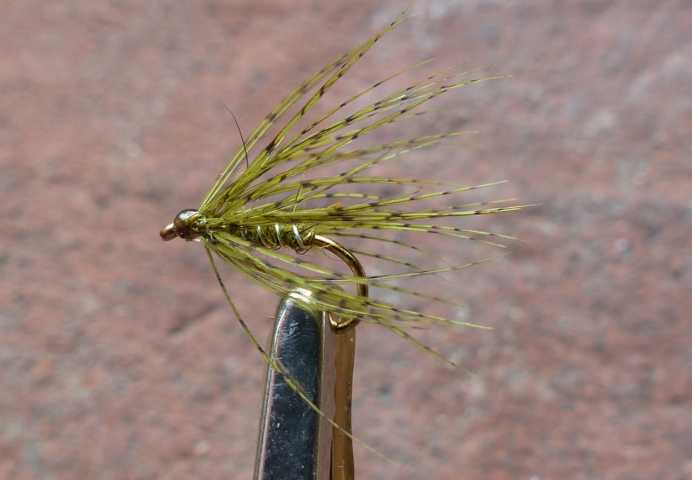 Green Partridge Wet 0041.JPG