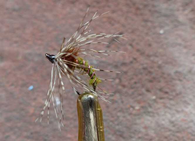 Squirrel_Olive_Emerger 0041.JPG