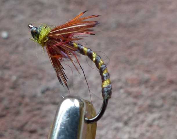 Emerger 0031.JPG